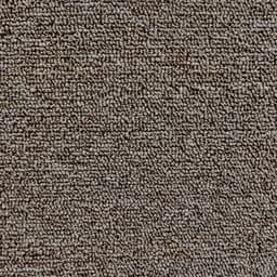Beige Medio