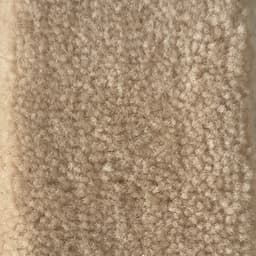 Arena (Vp230)